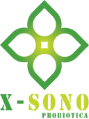 logo-X-Sono-medium